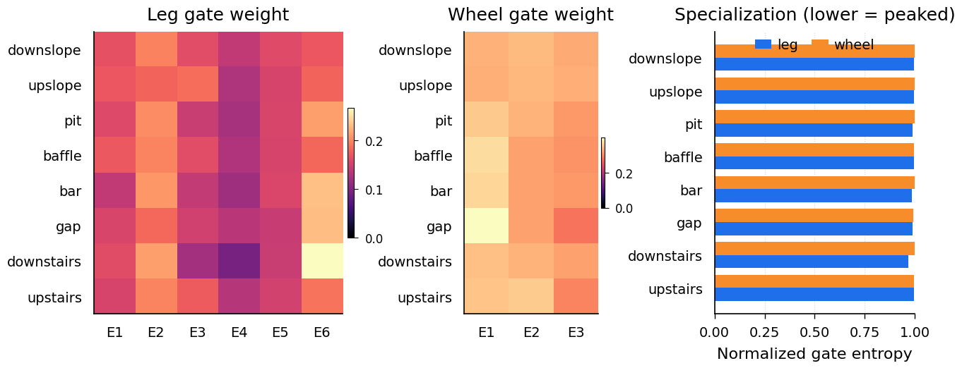 A3 — no L_sym paper_02_routing_specialization