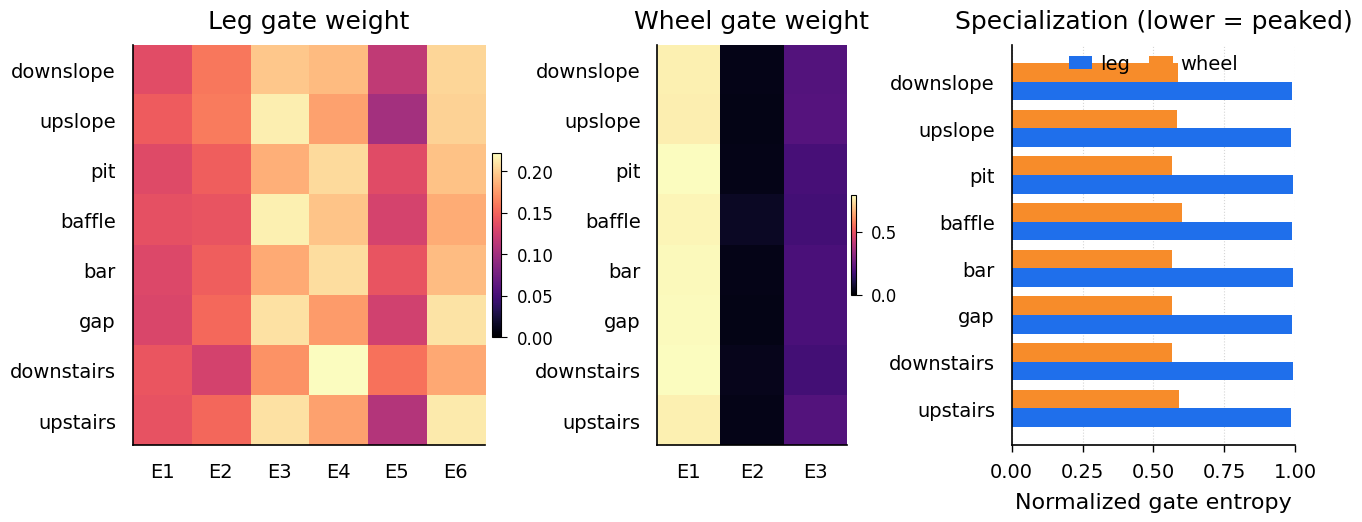 B1 — no L_bal paper_02_routing_specialization
