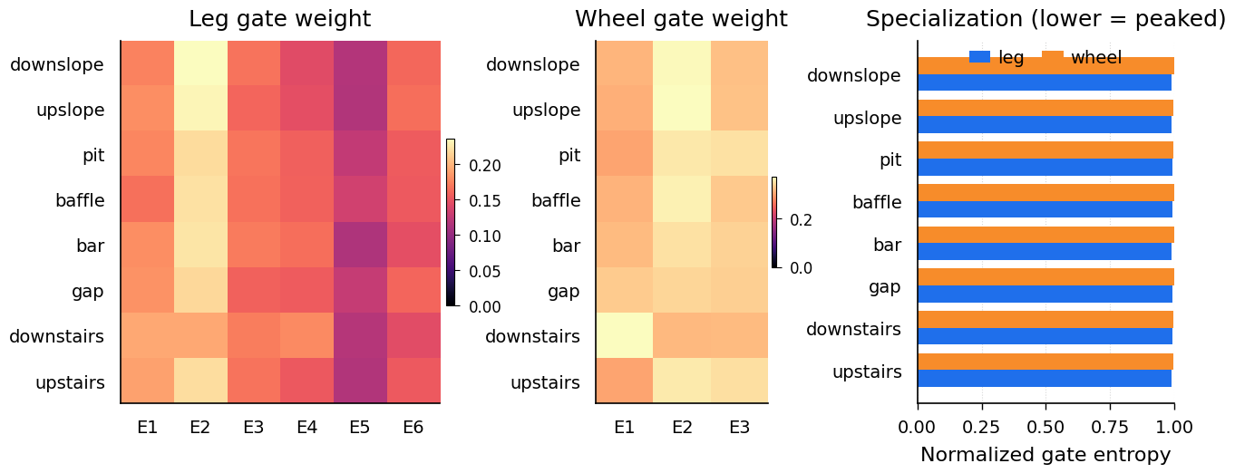 full paper_02_routing_specialization